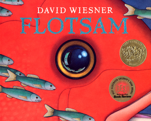 Flotsam Book | Format: Hardcover Color Script, Network Solutions, Under