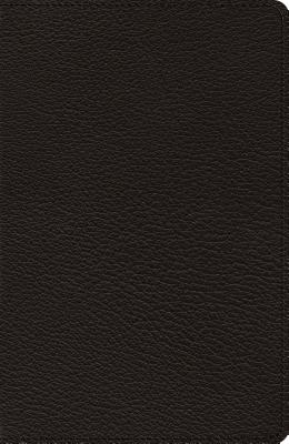 Heirloom Thinline Bible-ESV-Art Gilded Cover Image