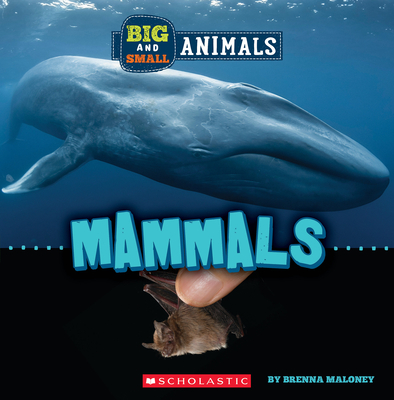 Mammals (Wild World: Big and Small Animals) Cover Image
