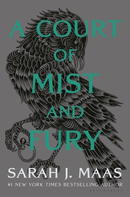 A Court of Mist and Fury (A Court of Thorns and Roses #2) Cover Image