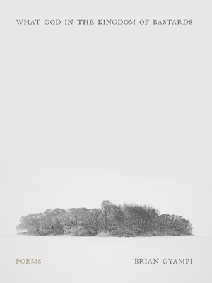 What God in the Kingdom of Bastards: Poems (Pitt Poetry)