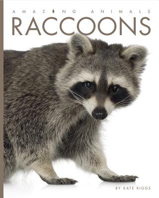 Raccoons (Amazing Animals) By Kate Riggs Cover Image