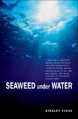 Cover for Seaweed Under Water (Touchwood Mystery)