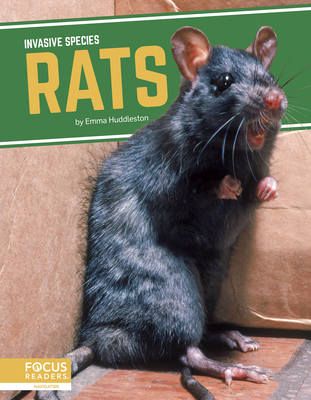 Rats By Emma Huddleston Cover Image