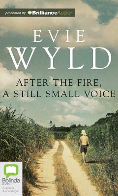 After the Fire, a Still Small Voice Cover