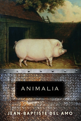 Cover for Animalia