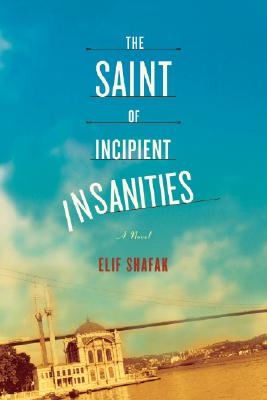 The Saint of Incipient Insanities Cover