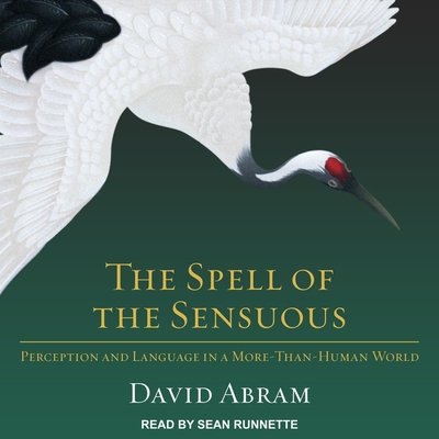 Cover for The Spell of the Sensuous