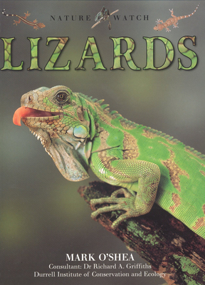 Lizards (Our Wild World)