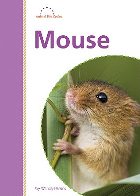 Mouse (Amicus Readers. Animal Life Cycles (Level 2))