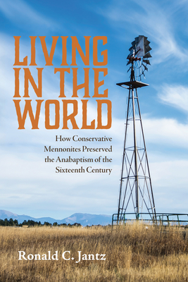 Living in the World By Ronald C. Jantz Cover Image