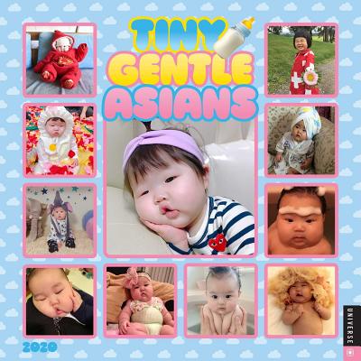 Tiny Gentle Asians 2020 Wall Calendar By Melissa Kenny Cover Image