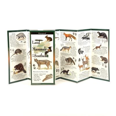 Land Mammals of the Southeast By Fiona A. Reid (Illustrator) Cover Image
