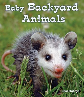 Baby Backyard Animals (All about Baby Animals)