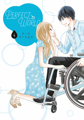 Perfect World 4 By Rie Aruga Cover Image