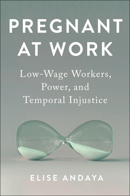 Pregnant at Work: Low-Wage Workers, Power, and Temporal Injustice (Anthropologies of American Medicine: Culture #11)