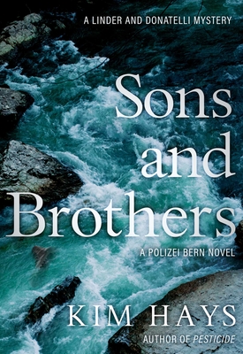 Cover for Sons & Brothers