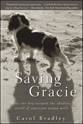 Cover for Saving Gracie