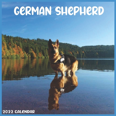 German Shepherd 2022 Calendar: Official German Shepherd Dog Breed 2022  Calendar 16 Months (Paperback) | Politics And Prose Bookstore