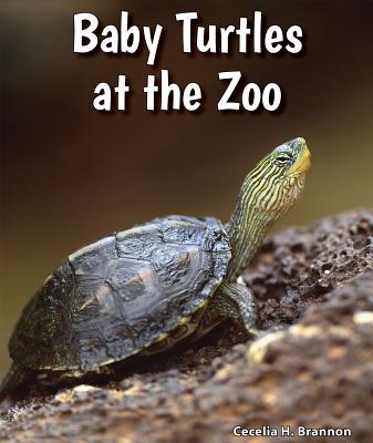 Baby Turtles at the Zoo (All about Baby Zoo Animals)