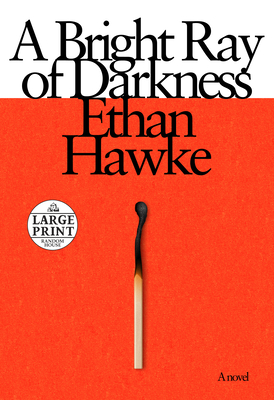 A Bright Ray of Darkness: A novel Cover Image