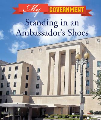 Standing in an Ambassador's Shoes (My Government)