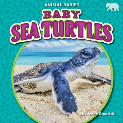 Baby Sea Turtles Cover Image