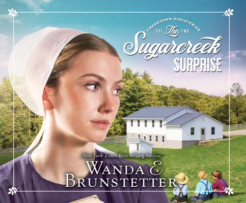 Sugarcreek Surprise (Creektown Discoveries #2) By Wanda E. Brunstetter, Rebecca Gallagher (Narrator) Cover Image