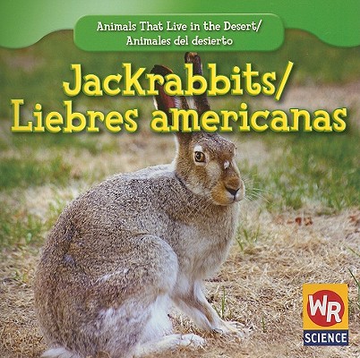 Jackrabbits / Liebres Americanas By JoAnn Early Macken Cover Image