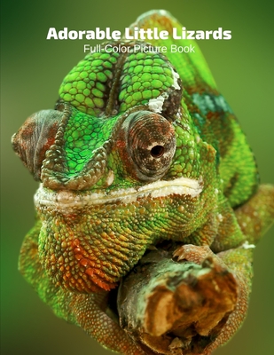 Adorable Little Lizards Full-Color Picture Book: Lizards Picture Book for Children, Seniors and Alzheimer's Patients -Reptiles Wildlife Nature Cover Image