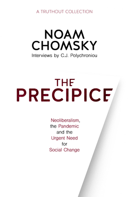 The Precipice: Neoliberalism, the Pandemic and the Urgent Need for Social Change Cover Image