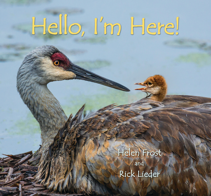 Hello, I'm Here! (Step Gently, Look Closely)