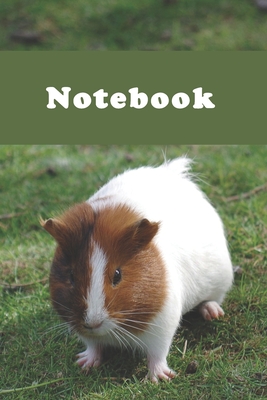 Notebook: Hamster-120 Pages(6