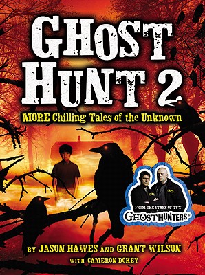Ghost Hunt 2 Cover
