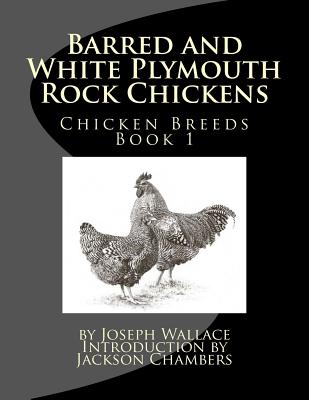 Barred and White Plymouth Rock Chickens Cover Image