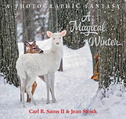 A Magical Winter By Carl R. Sams, Jean Stoick Cover Image