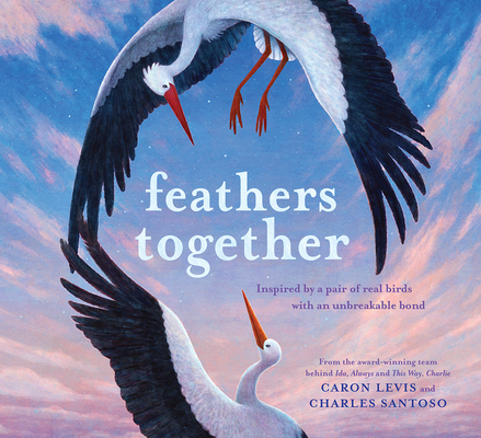 Feathers Together (Feeling Friends) By Caron Levis, Charles Santoso (Illustrator) Cover Image