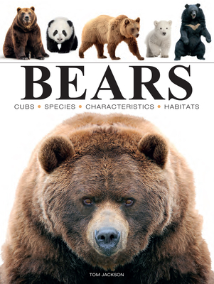 Bears (Mini Encyclopedia) Cover Image