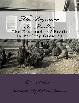 The Beginner In Poultry: The Zest and the Profit In Poultry Growing