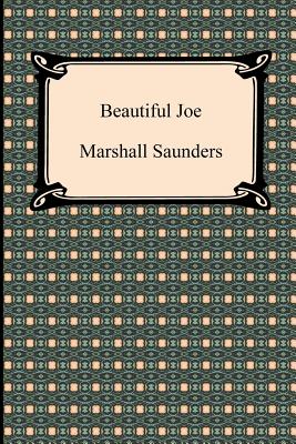 Beautiful Joe Cover Image