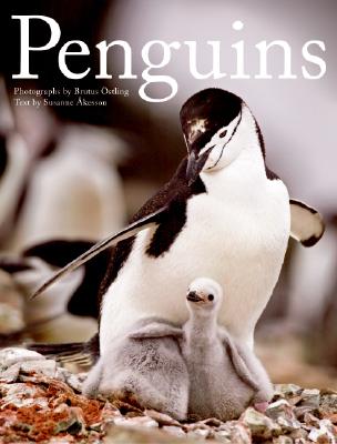Penguins By Brutus Ostling, Susanne Akesson Cover Image