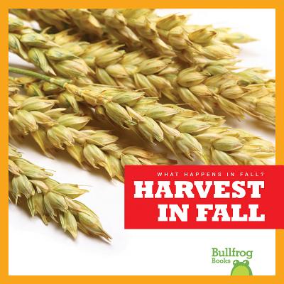 Harvest in Fall (What Happens in Fall?) Cover Image