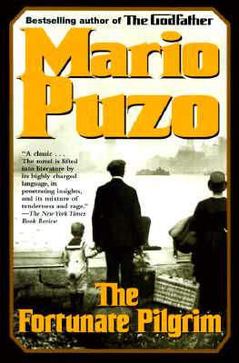Cover for The Fortunate Pilgrim