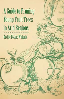 A Guide to Pruning Young Fruit Trees in Arid Regions Cover Image