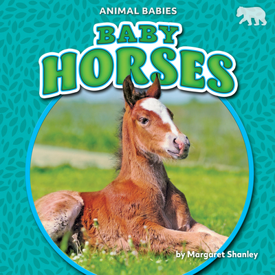 Baby Horses (Animal Babies)