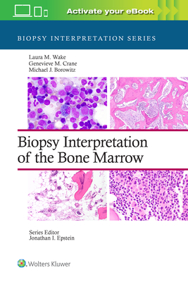 Biopsy Interpretation of the Bone Marrow (Biopsy Interpretation Series) Cover Image
