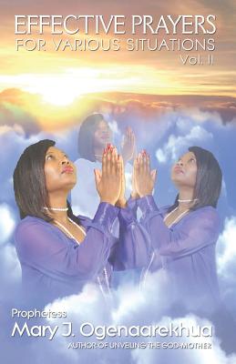 Effective Prayers for Various Situations: Vol. II By Mary J. Ogenaarekhua Cover Image