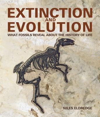 Extinction and Evolution: What Fossils Reveal about the History of Life By Niles Eldredge, Carl Zimmer (Introduction by) Cover Image