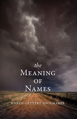 The Meaning of Names By Karen Shoemaker Cover Image