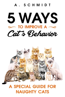 5 Ways to Improve a Cat's Behavior: A Special Guide for Naughty Cats
